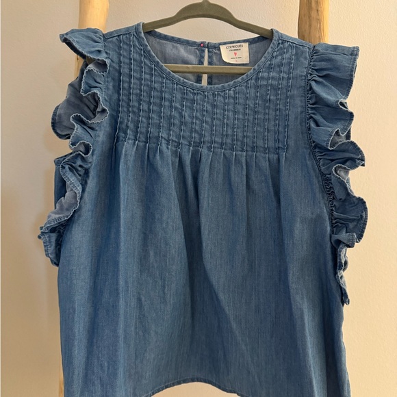 Crewcuts Other - Crewcuts Kids Chambray Denim Ruffle Sleeve Top